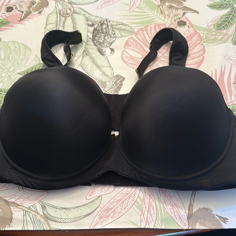 Ashely stewart bra